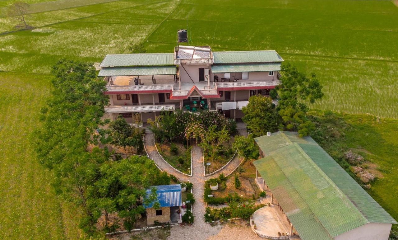 Hotel Tree Tops Саураха Экстерьер фото